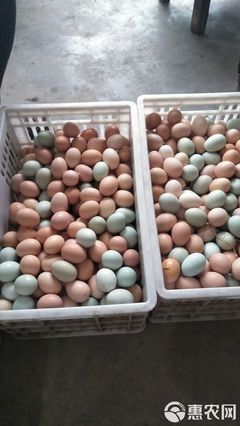 土鸡蛋 箱装食用农产品批发全指南