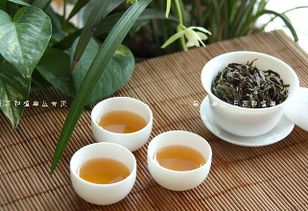 润雅阁韵香型凤凰单枞茶 一盏来自潮州的山水清韵